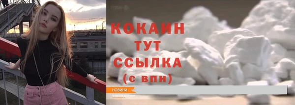 скорость Щигры