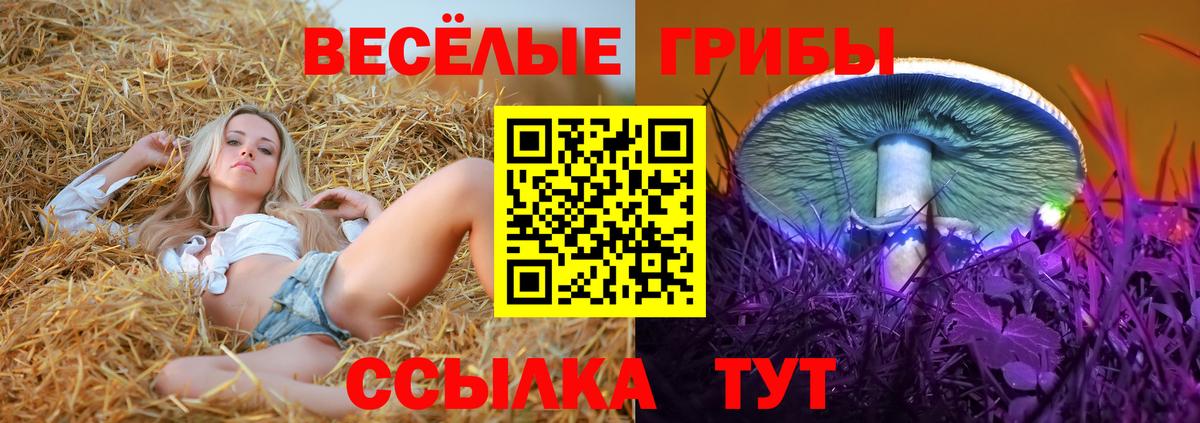 Чебаркуль  Псилоцибиновые грибы Psilocybe  Вход с VPN 