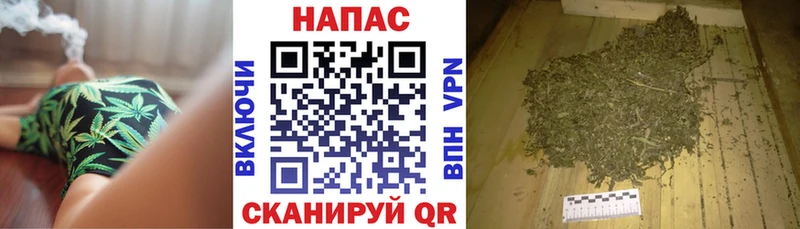 Шишки марихуана марихуана  хочу наркоту  Чебаркуль 
